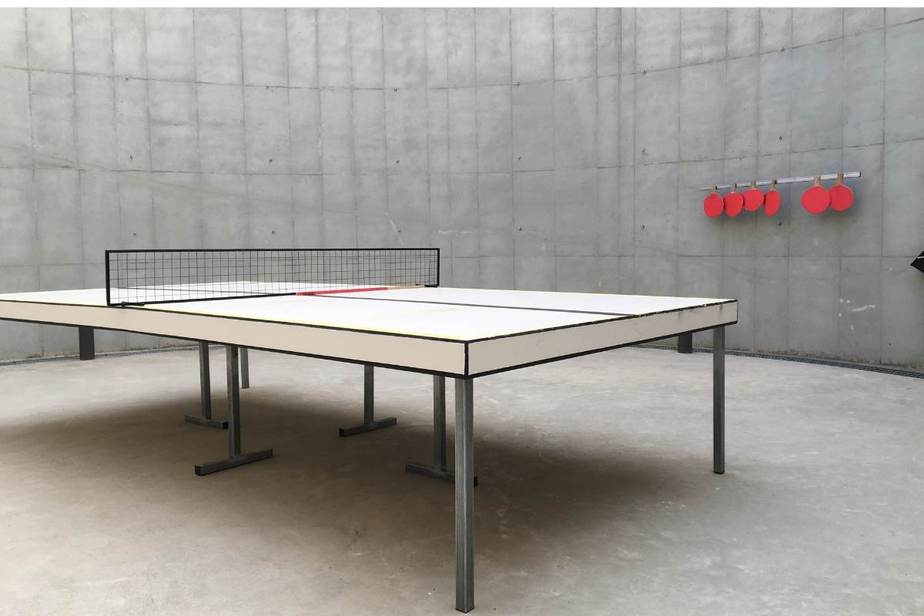 Indoor Vs Outdoor Table Tennis Tables, Are Outdoor Table Tennis Tables Any Good