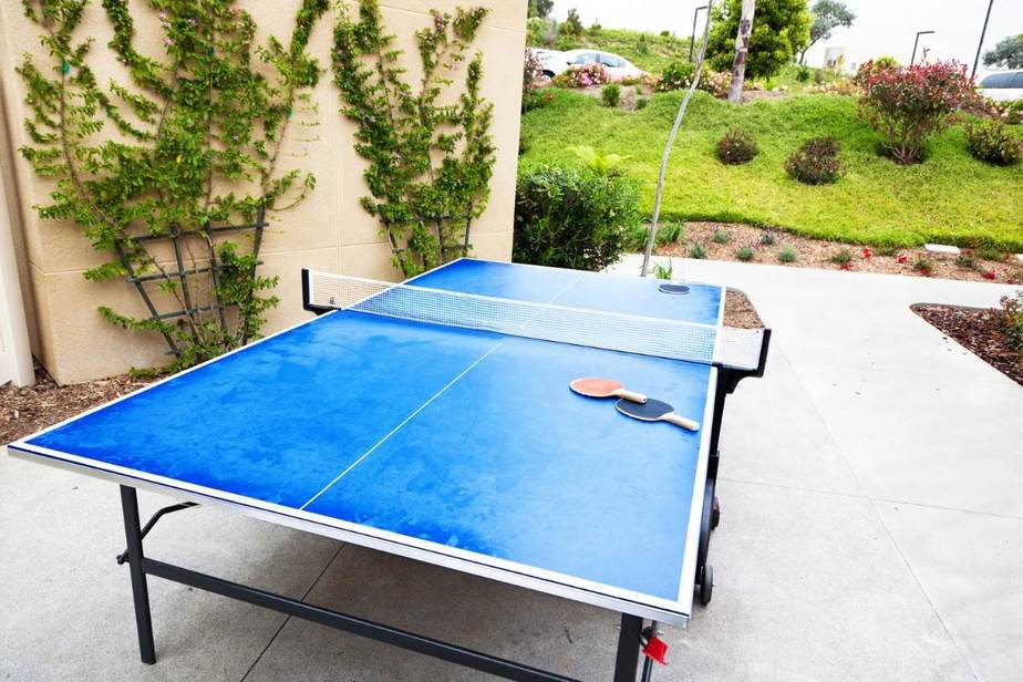 Does Wind Affect Ping Pong? (9 Facts About Weather) Racket Rampage