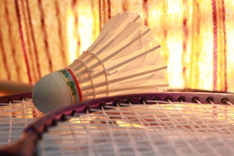 Can You Play Badminton With A Tennis Racket? (Quick Answer)