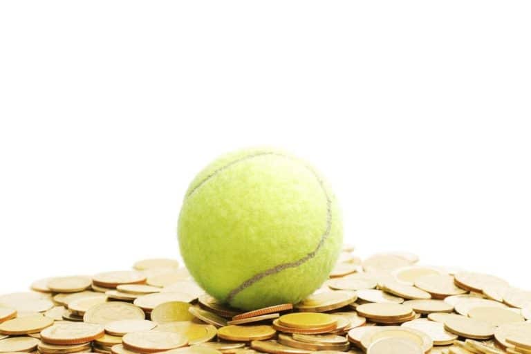 Tennis Ball Cost: Brand Comparison & Examples