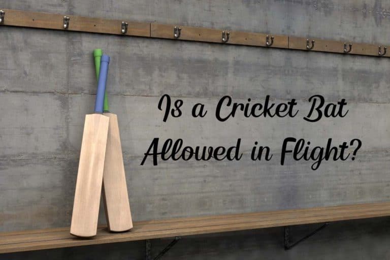 Is a Cricket Bat Allowed in Flight? (Quick Explanation)