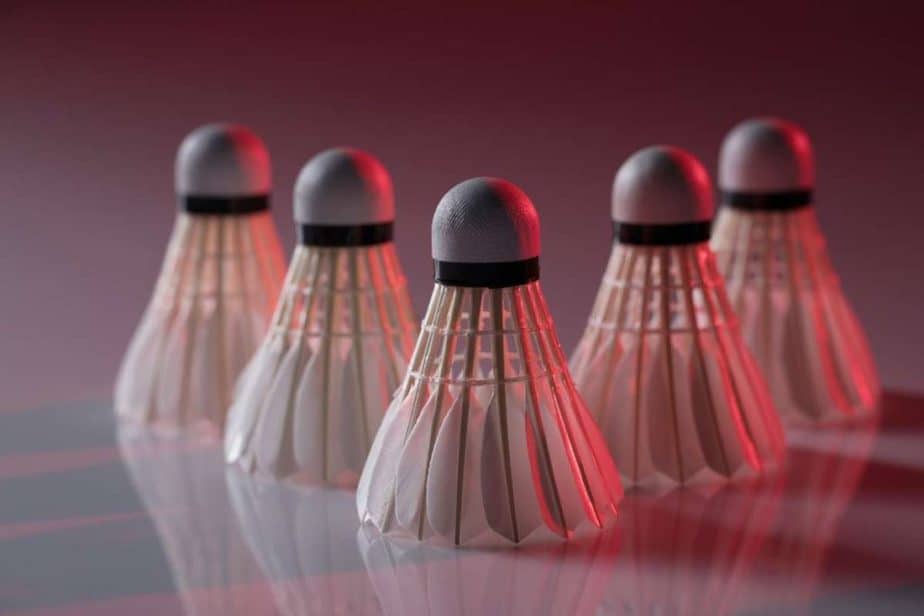 What’s The Difference Between Badminton And Shuttlecock? Racket Rampage