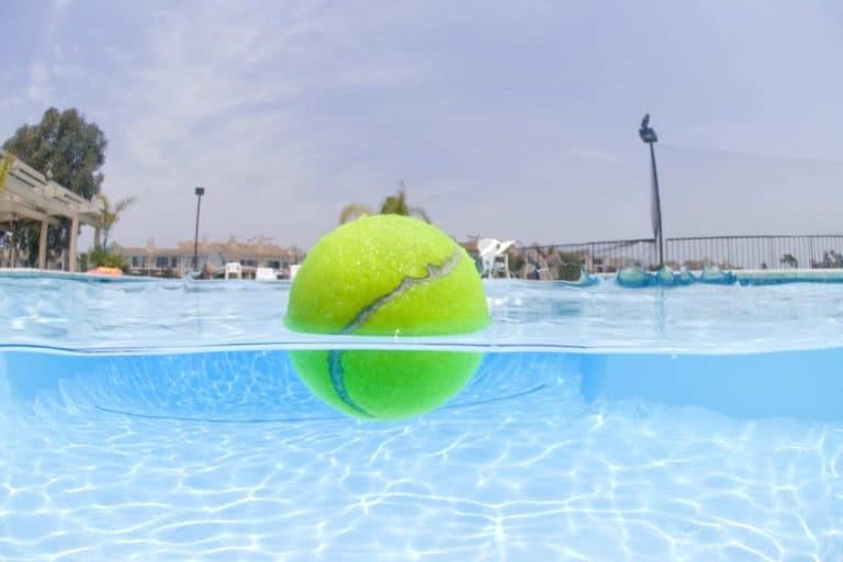 Do Tennis Balls Float? (Secrets Of Physics)