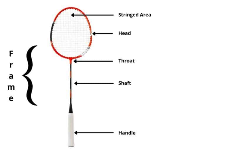 11 Fascinating Badminton Facts (#5 Might Be Useful) – Racket Rampage