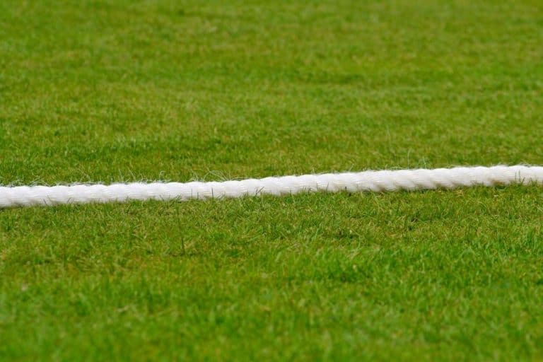 Why Does a Rope Mark the Boundary in Cricket?