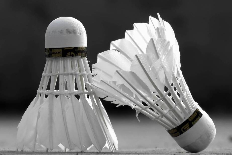 What’s The Difference Between Badminton And Shuttlecock? – Racket Rampage