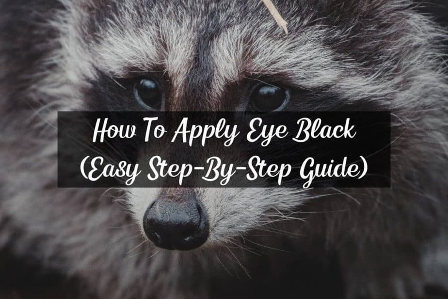How To Apply Eye Black (Easy StepByStep Guide) Racket Rampage